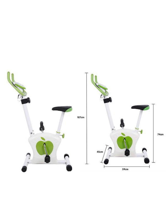 Pakistan Apple Air Bike